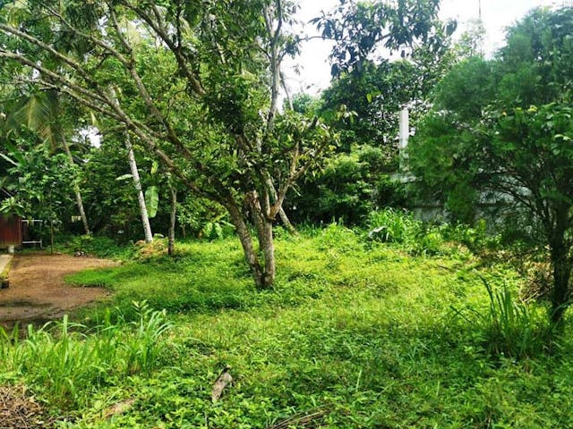 Prime Residential Bare Land - Gampola